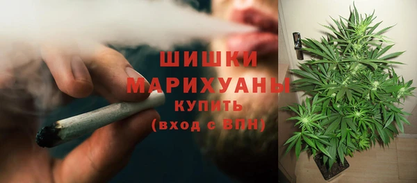 винт Армянск