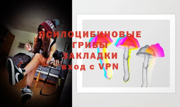 винт Армянск