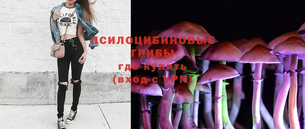 бошки Аркадак