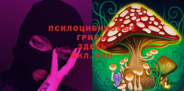 бошки Аркадак