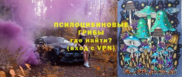бошки Аркадак