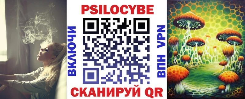 Купить где  Кизляр  Псилоцибиновые грибы GOLDEN TEACHER 